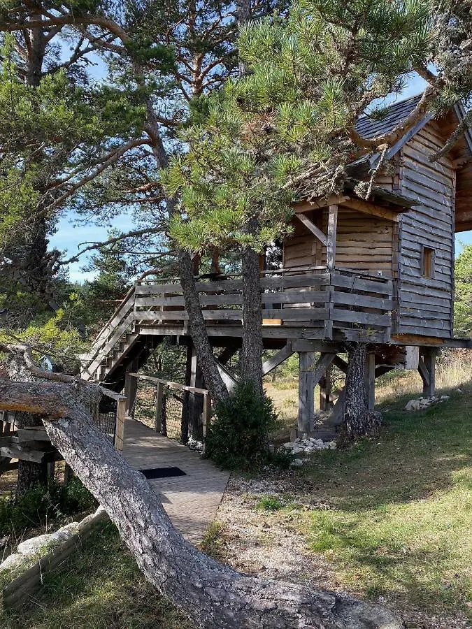 Les Cabanes De Maya Caille Lodge
